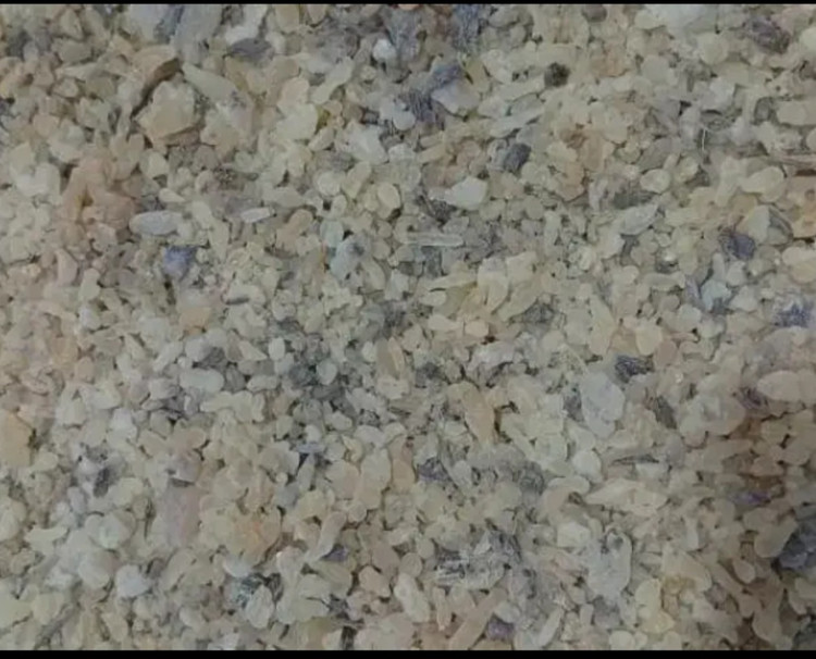 سقز کوهی صمغ درخت بنه