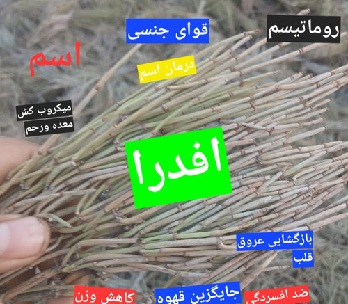 دمنوش گیاه علیجون(ریش بزی افدرا)