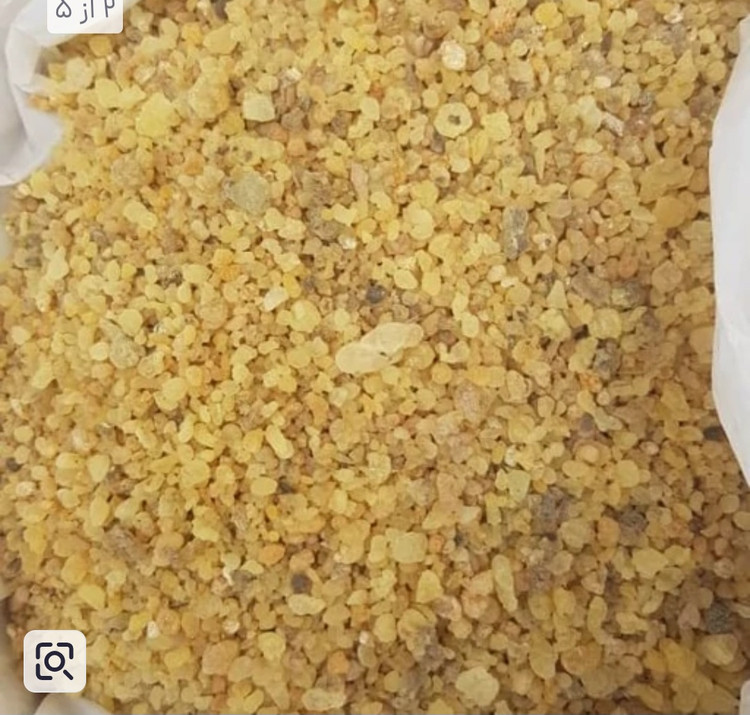 سقز کوهی شسته